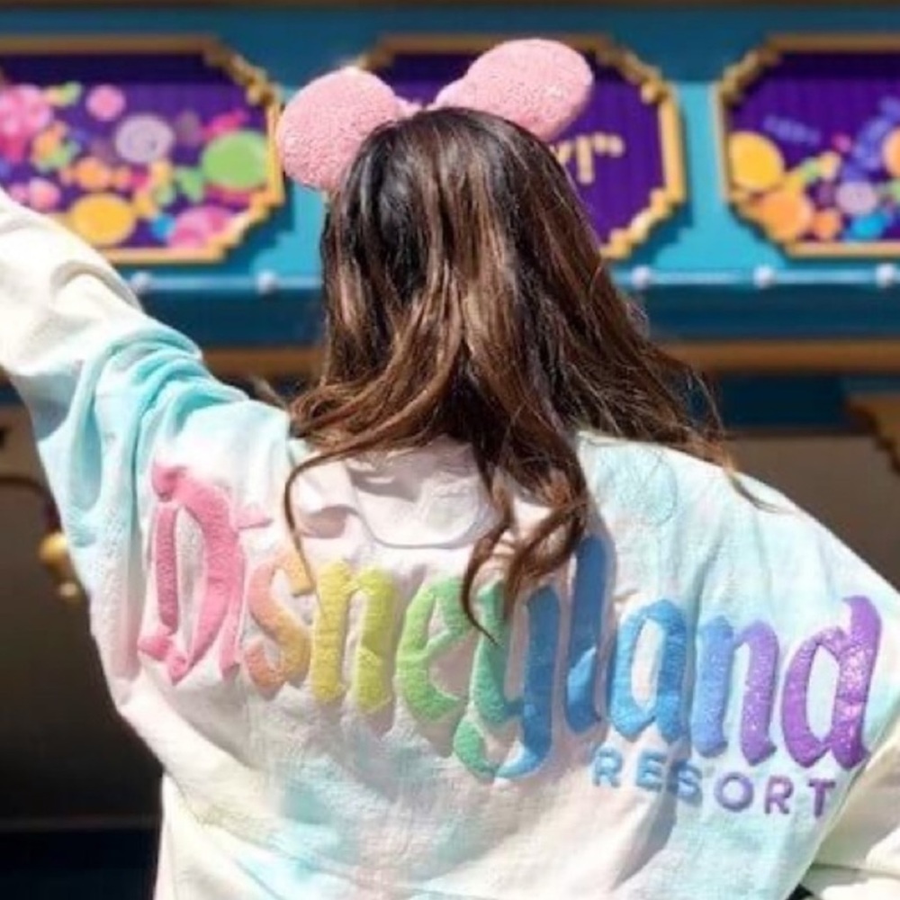 Disneyland resort spirit jersey